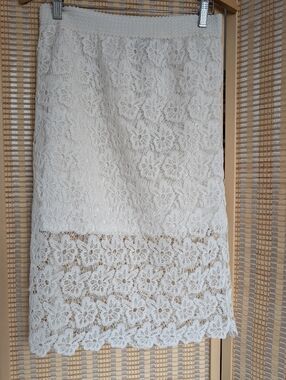 Alice Blue with White Lace Sheer Skirt